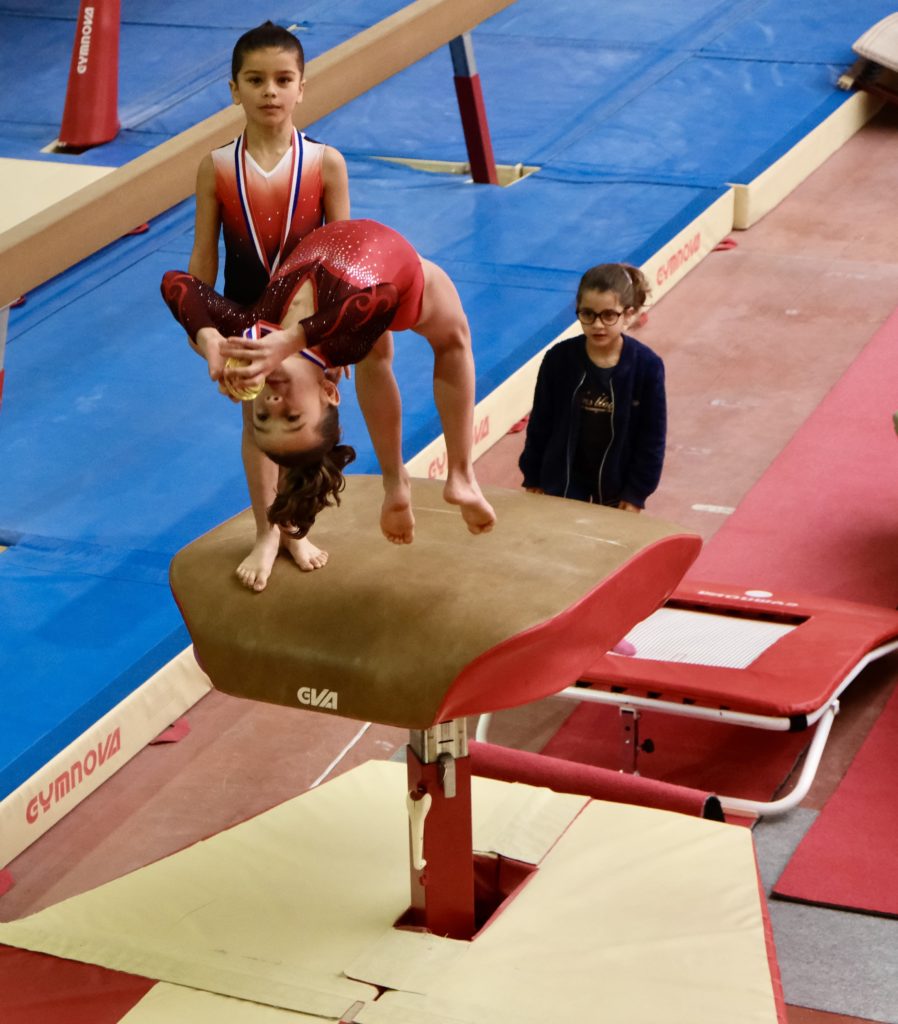 La Gymnastique Artistique Féminine La Fraternelle De Louviers
